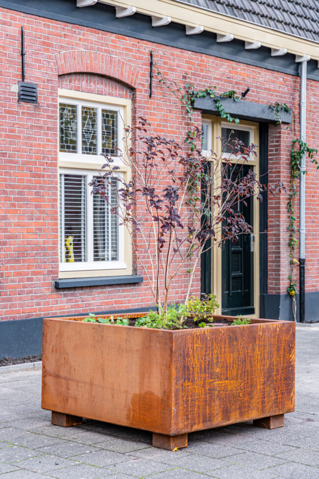 Vergroen je straat – Gemeente Boxtel
